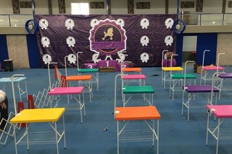 groomSul 2018