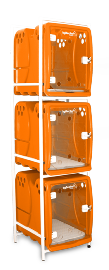 Cantinho_laranja 02