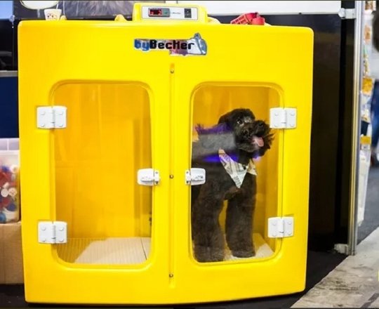 maquina-de-secar-animais-bybecker-220v-spa-pet-D_NQ_NP_878091-MLB29321519149_022019-F