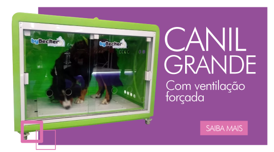 Canil Grande